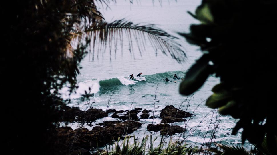 Free Image of People surfing in the ocean, waves and rocky shore 