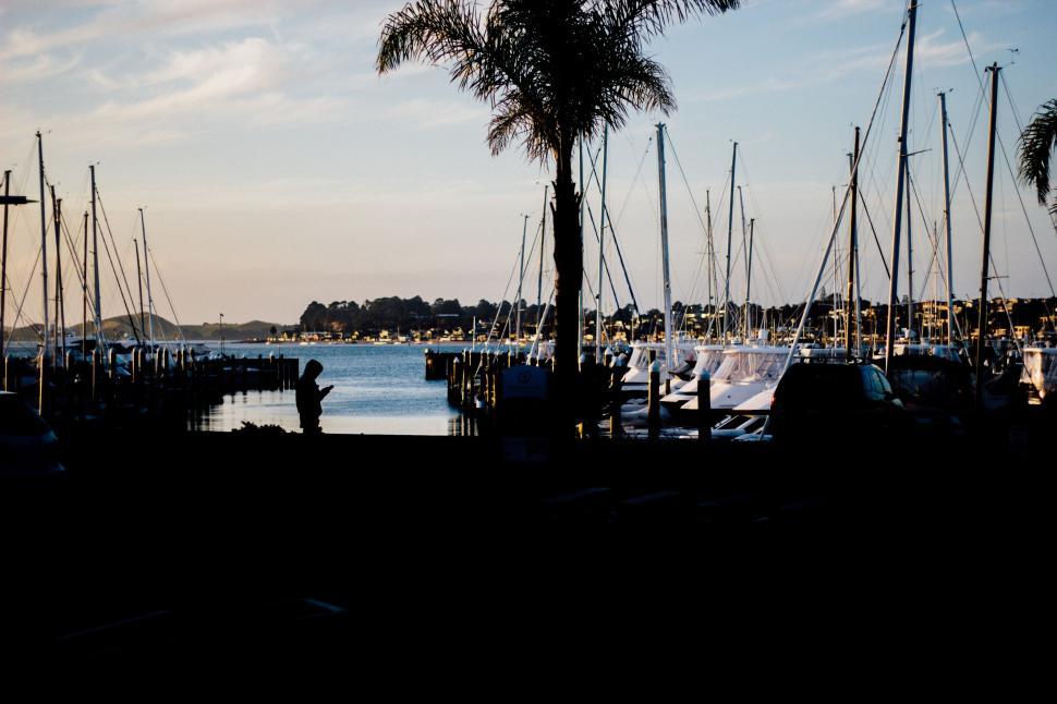 Free Image of Marina with yachts and boats moored at sunset time 