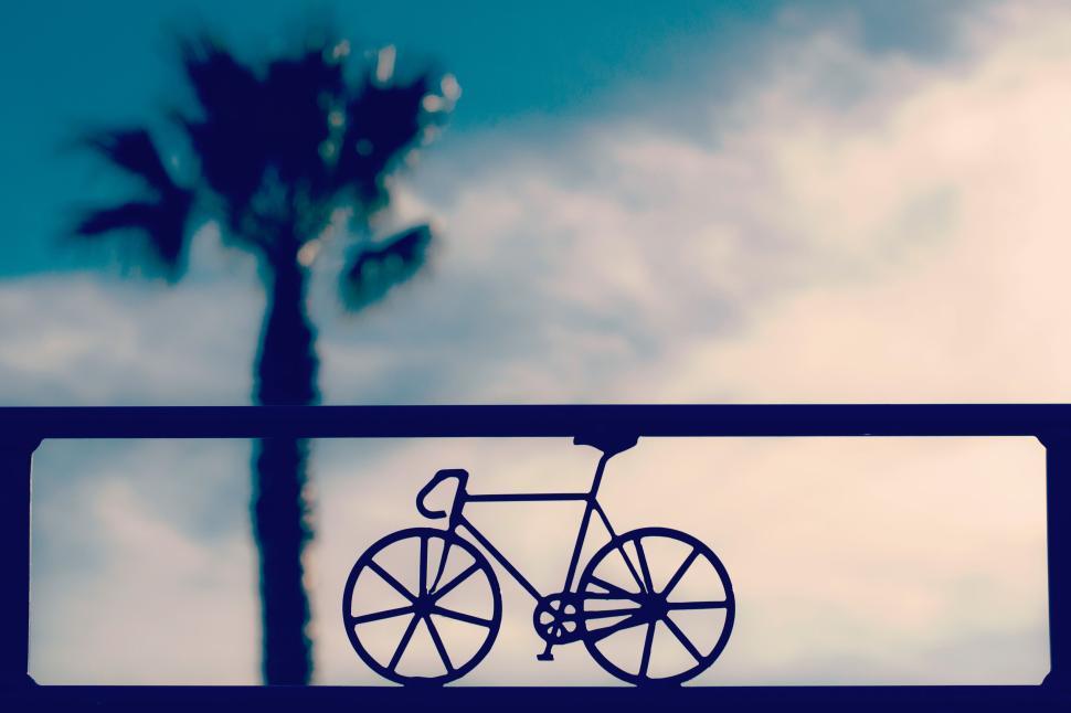 Free Image of Palm tree with minimalist bicycle sign under sky 