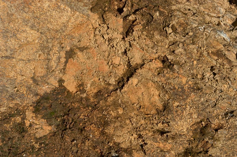 Free Image of Texture of rough, aged stone with earthy brown tones 