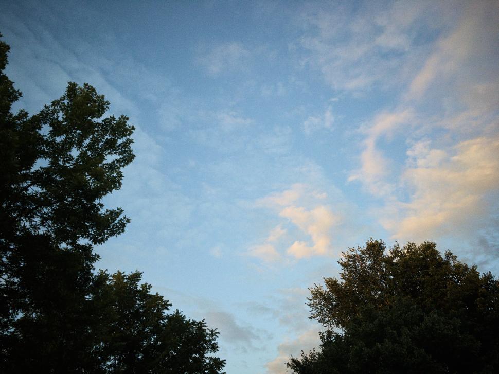 Free Image of Blue sky with scattered clouds above green trees. 