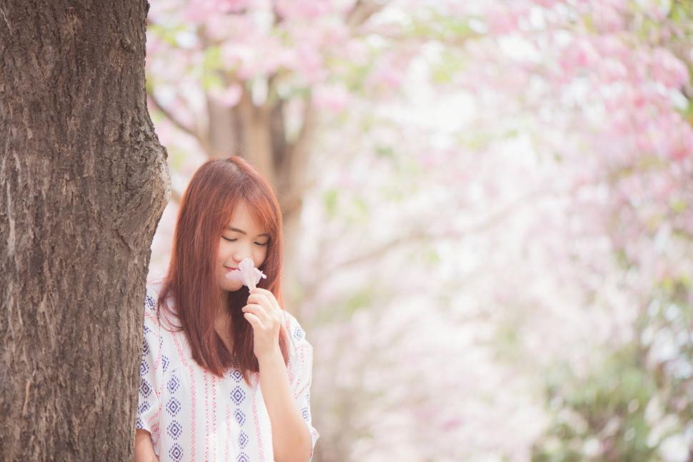 Free Image of Woman smelling a flower with pink blossoms around tree 