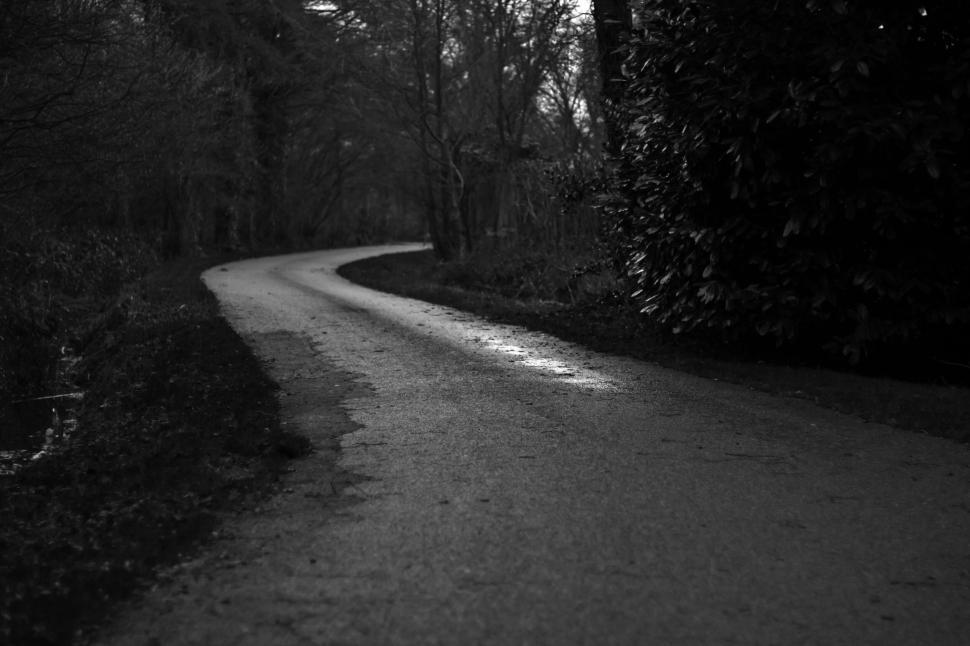 Free Image of Black and white image of a winding road with trees. 