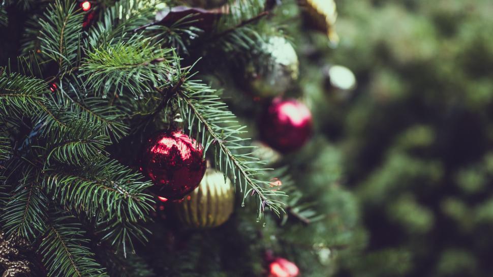 Free Image of Christmas tree adorned with colorful shiny ornaments 