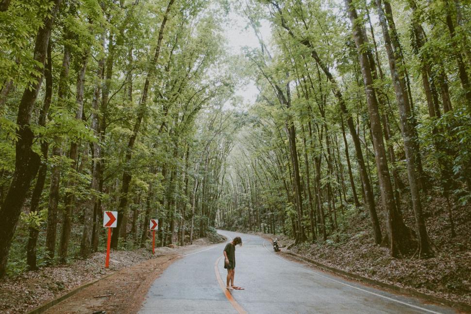Free Image of Person standing alone on a road surrounded by tall trees 