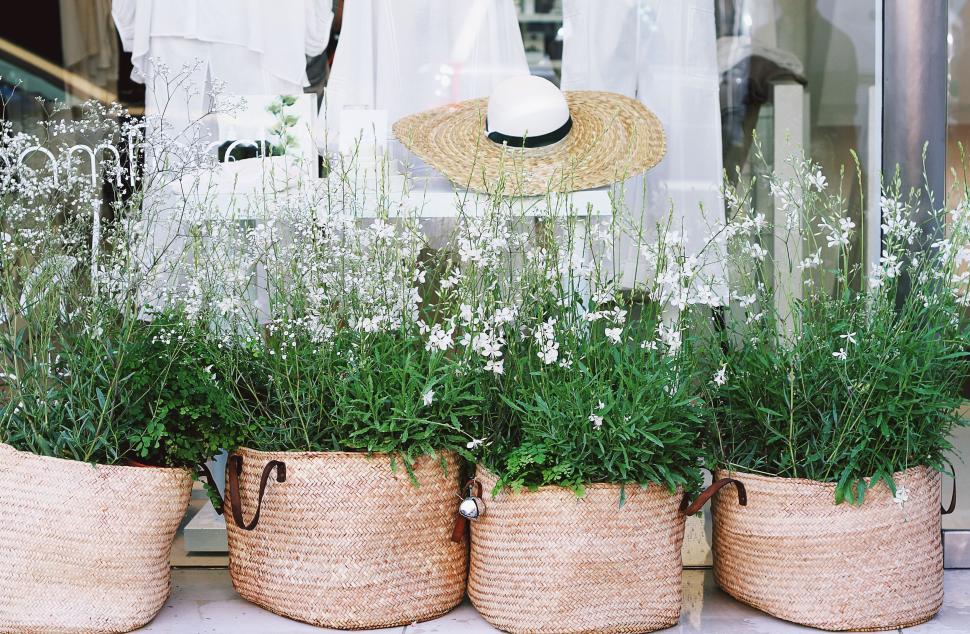 Free Image of Four baskets filled with green plants, hats on display. 