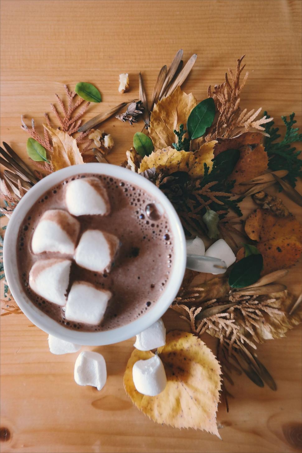 Free Image of Hot chocolate with marshmallows on a wooden table 