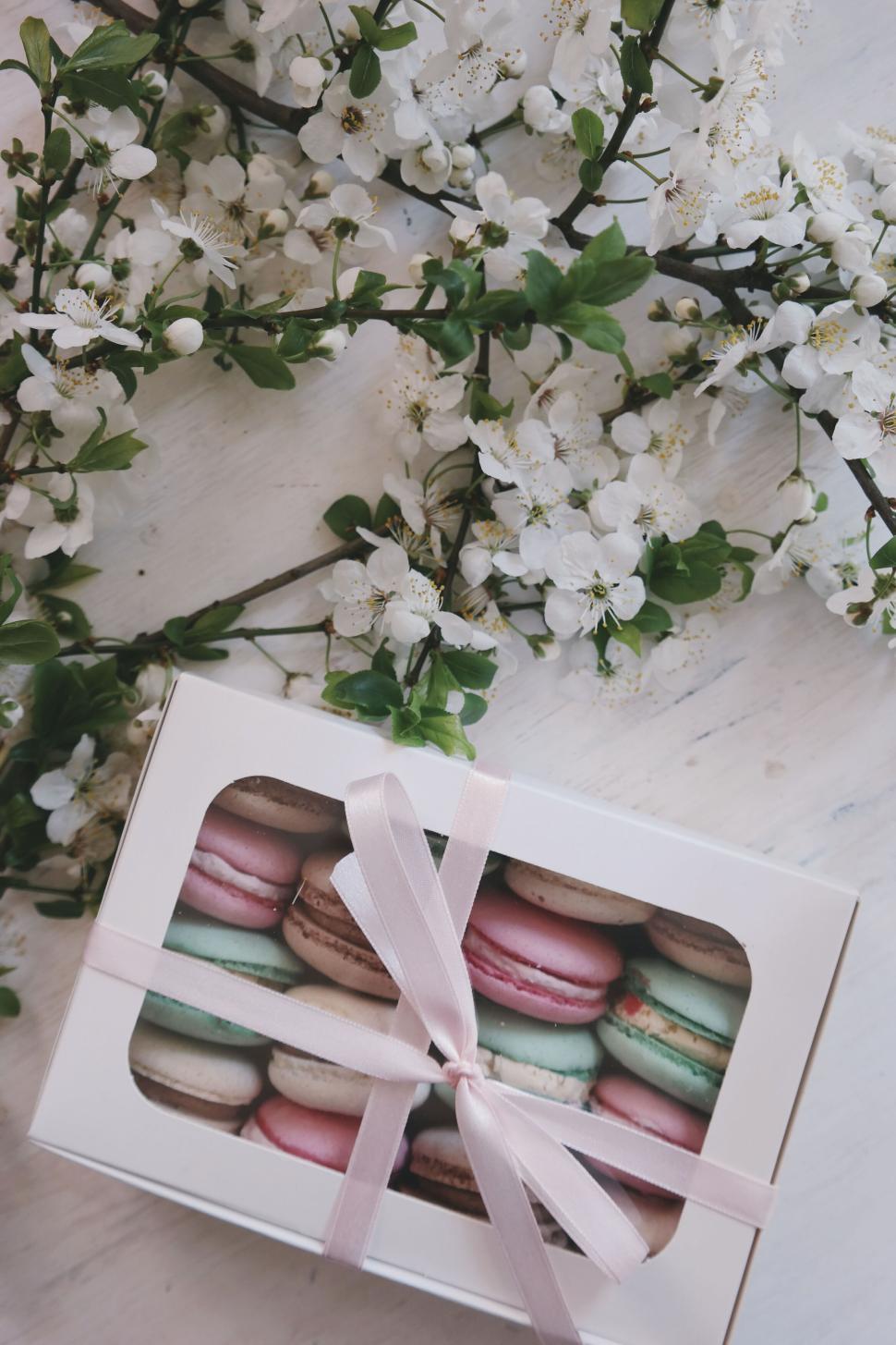 Free Image of Box of colorful macarons with white flowers on background. 