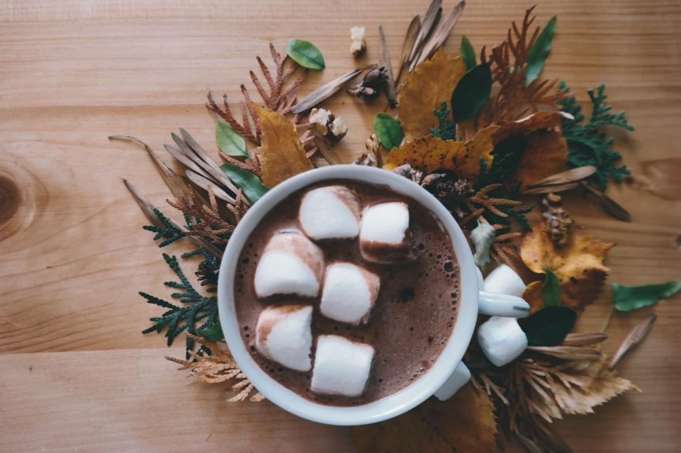 Free Image of Cup of hot chocolate with marshmallows and autumn leaves 
