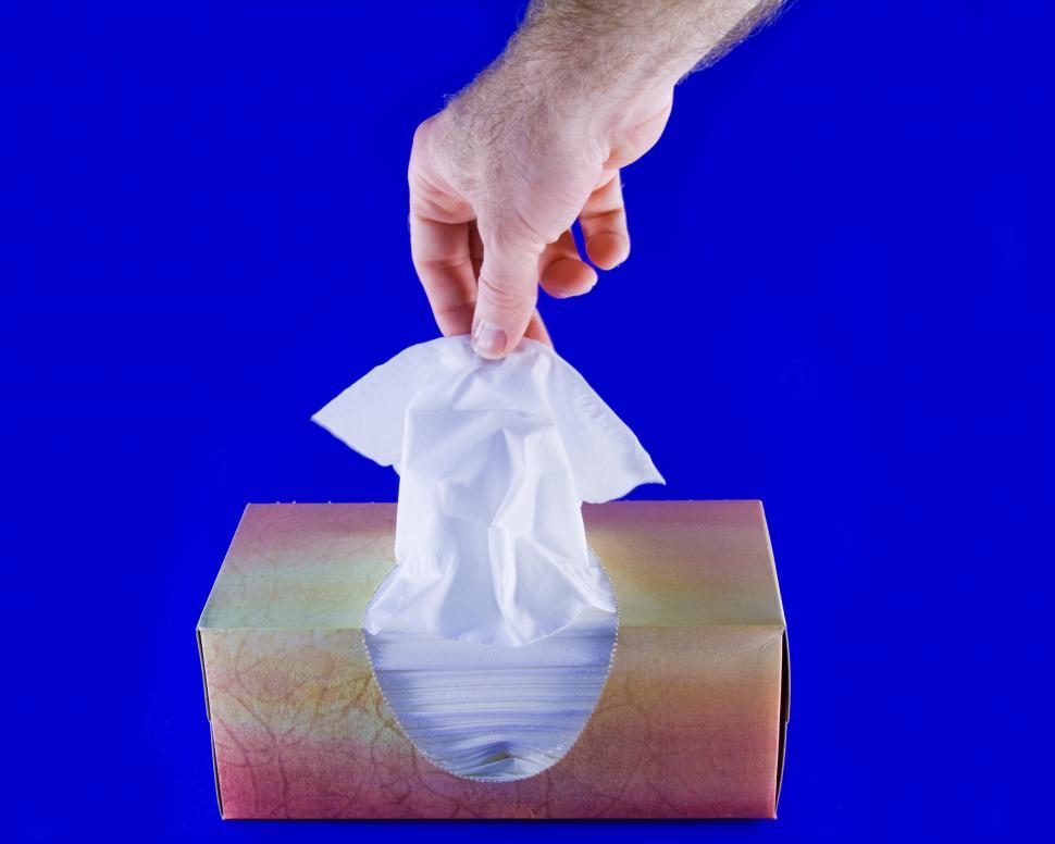 Free Stock Photo of Tissue Download Free Images and Free Illustrations
