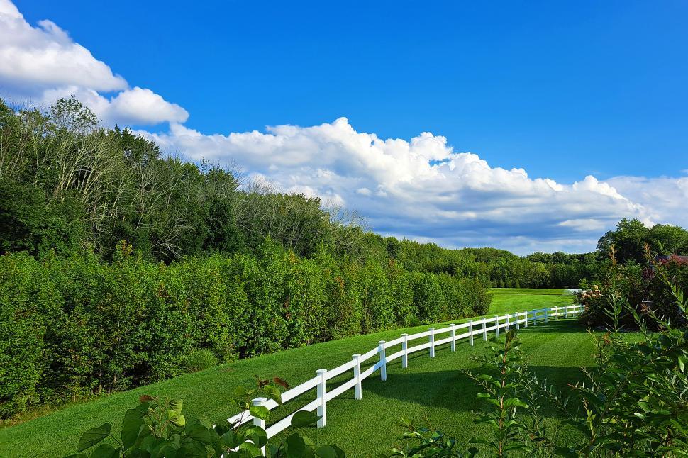 Free Image of Backyard 