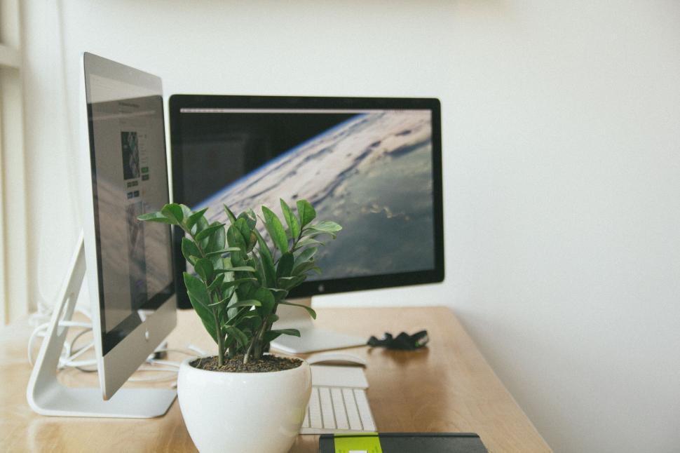 Free Image of Minimalist workspace featuring dual monitors and plant 