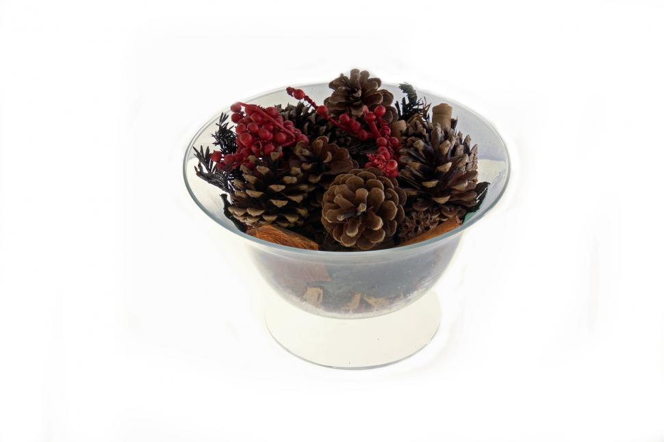 Free Image of Pine cones 