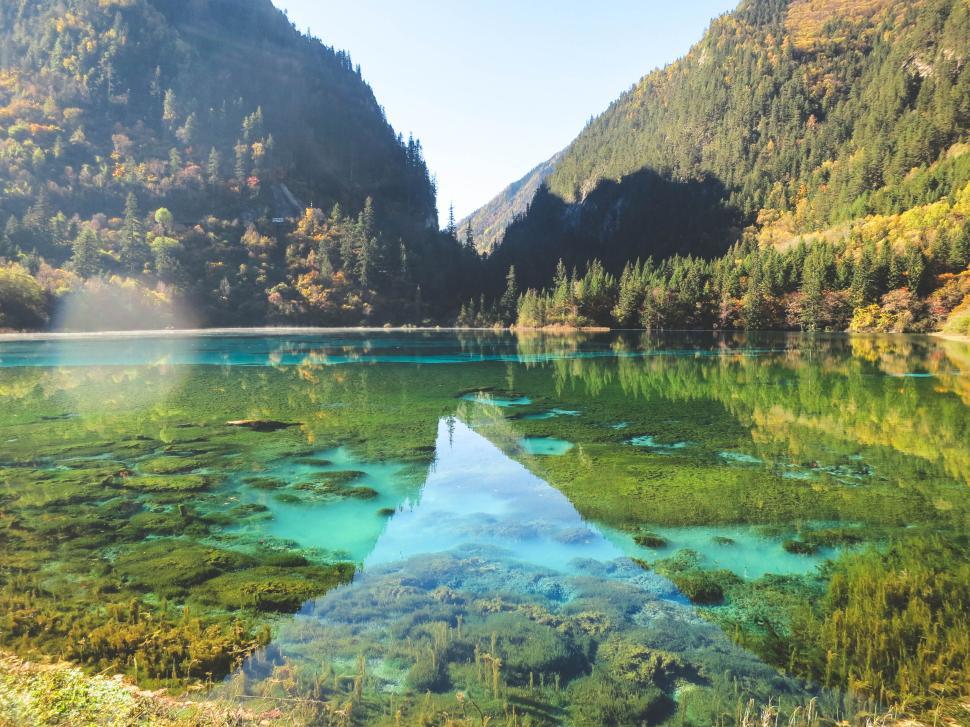 Free Image of Crystal-clear Lake Surrounded by Verdant Mountains 