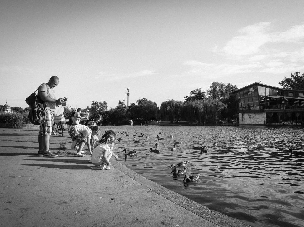Free Image of Family feeding ducks by a large pond under clear sky 