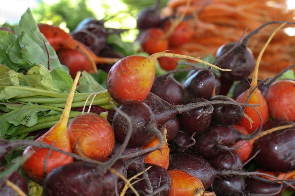 Free Image of Freshly harvested beets and carrots piled together 