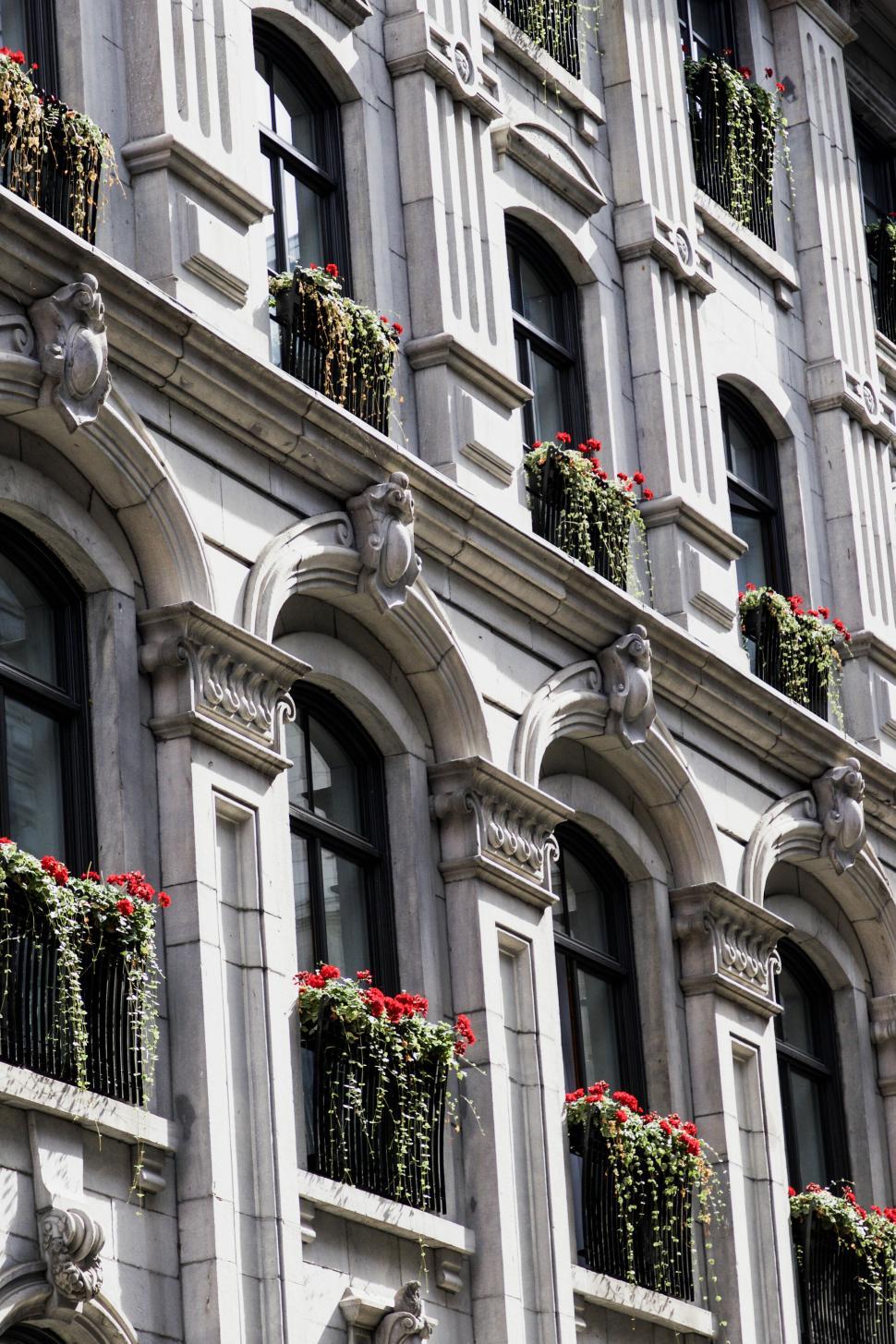 Free Image of Balconies with red flowers on a historic building facade 