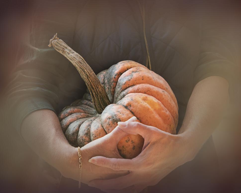Free Image of Person holding a large orange pumpkin in their hands 