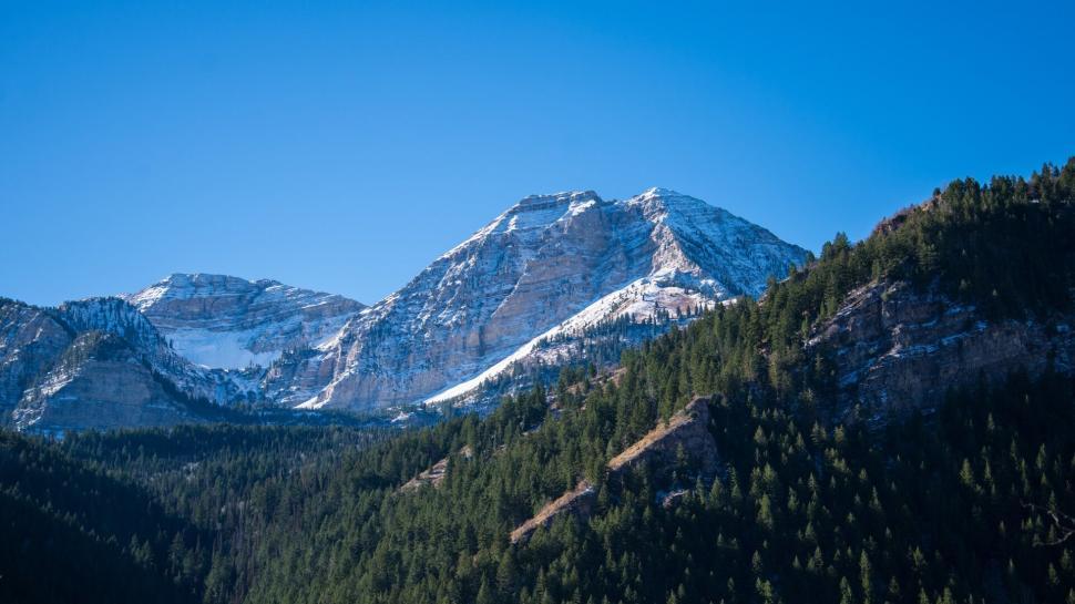 Free Image of Snow-capped mountains with dense pine forests underneath 