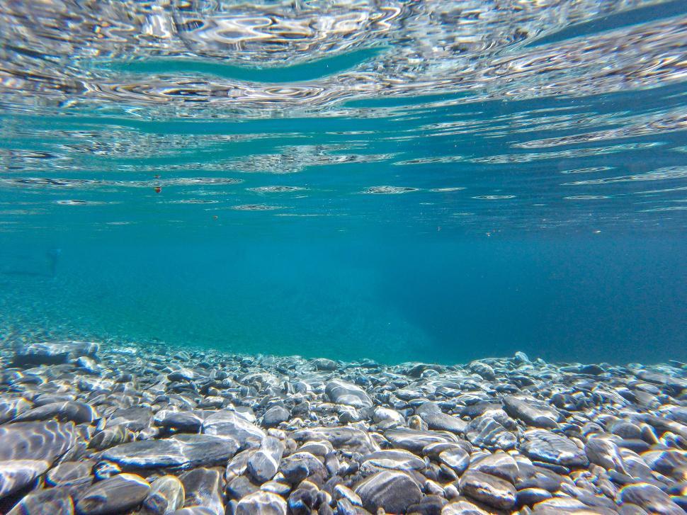 Free Image of Underwater view of rocky seabed with crystal clear water 