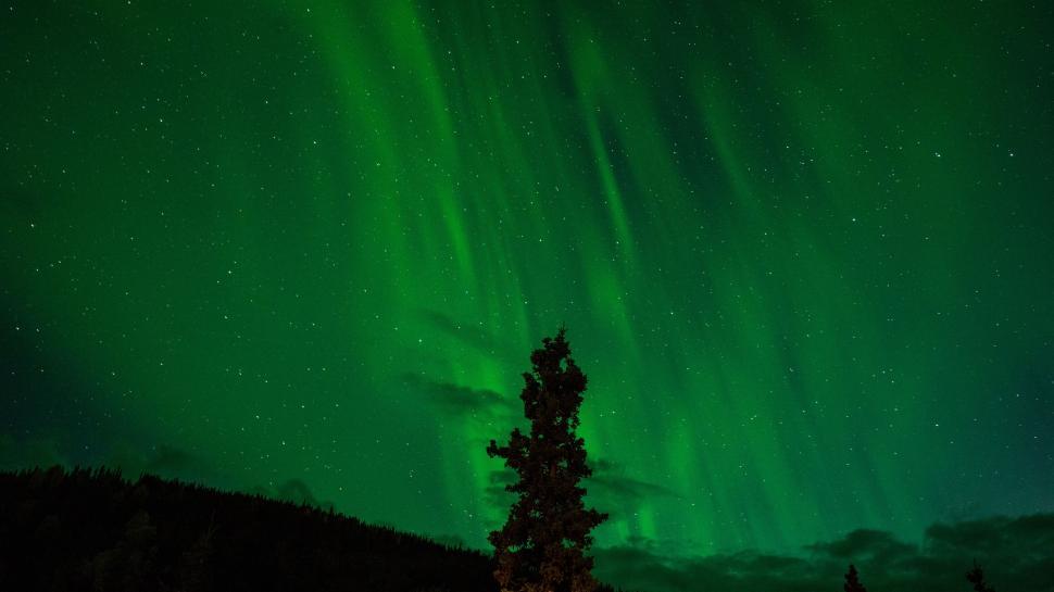 Free Image of Aurora Borealis illuminates the night sky in Alaska 