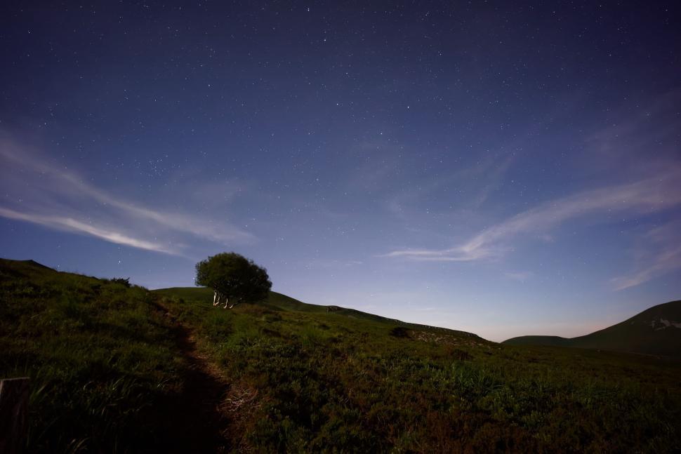 Free Image of Starry night sky over hill with solitary tree standing. 