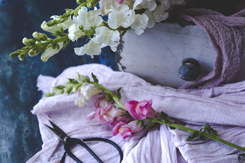 Free Image of Scissors, flowers, and pink cloths in an artistic setting. 