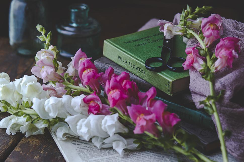 Free Image of Colorful flowers with vintage books and papers 