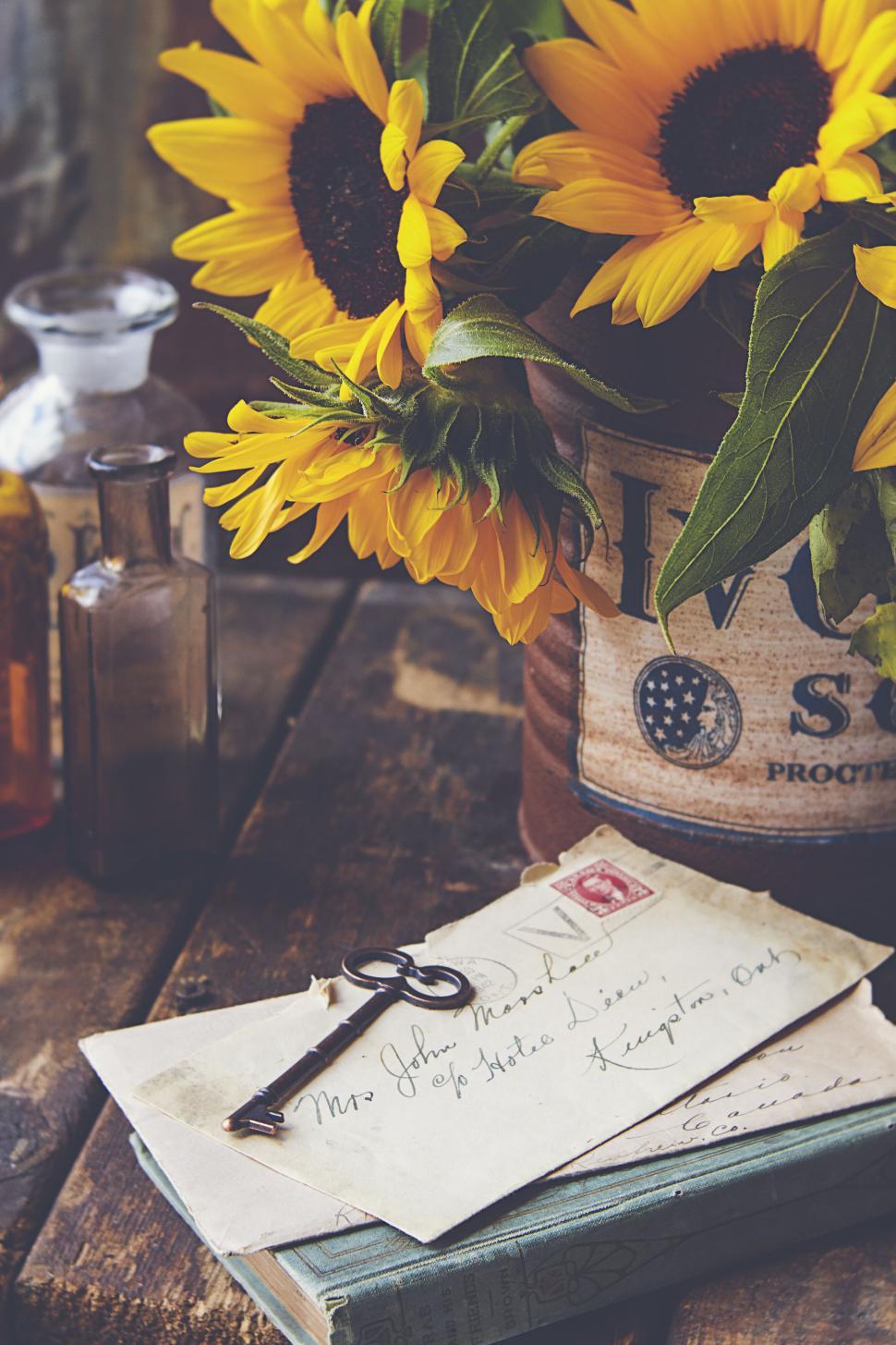 Free Image of Sunflowers in vintage tin next to old handwritten letters 