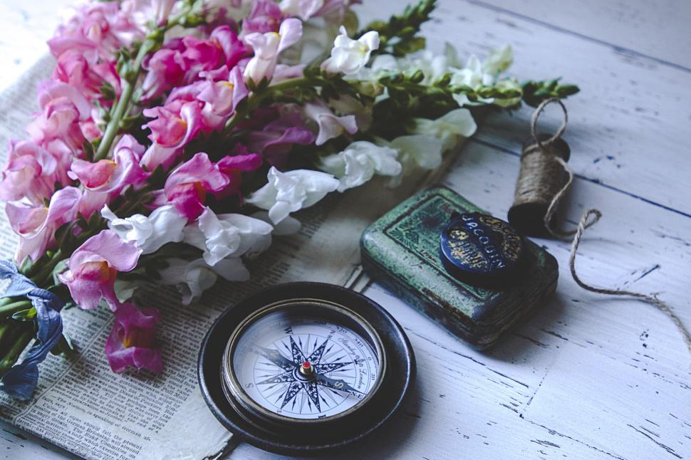 Free Image of Snapdragon flowers with compass and spool on newspaper 