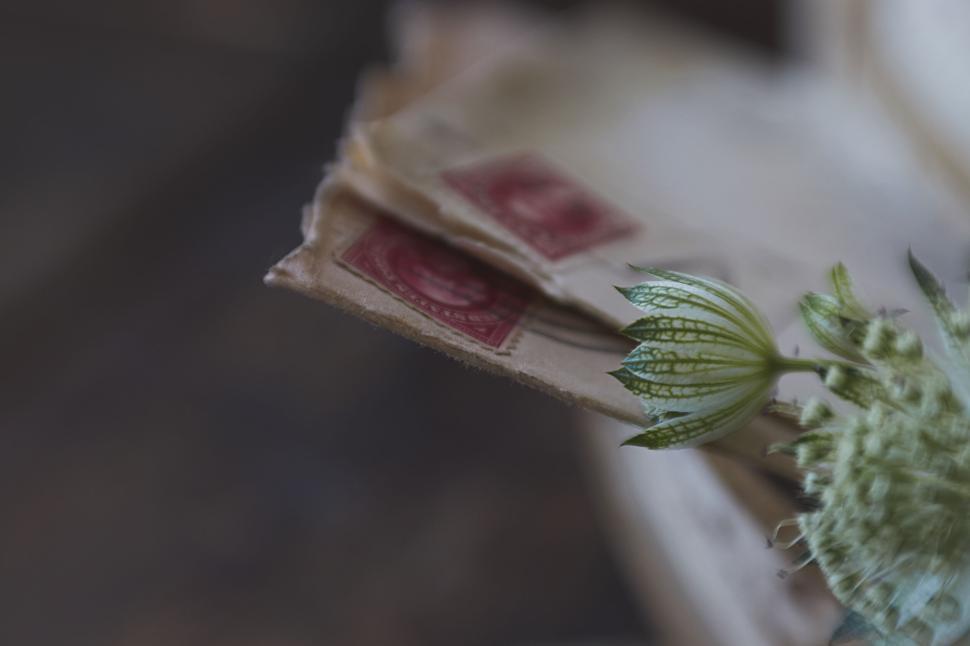 Vintage letters with stamps and delicate greenery