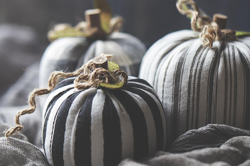 Free Image of White and black striped pumpkins in rustic setting. 