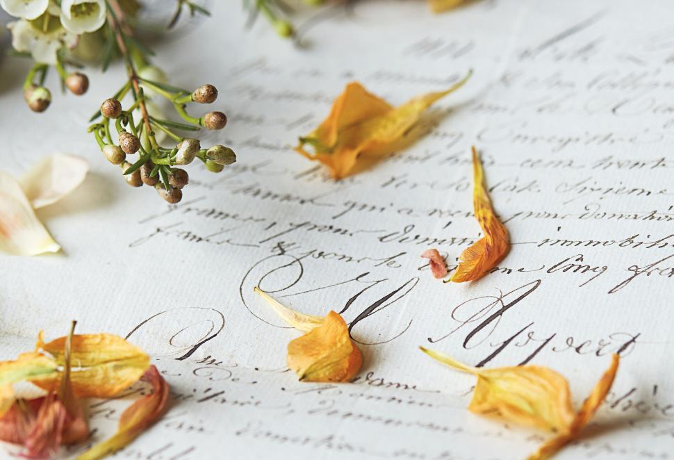 Pressed flowers and leaves on vintage handwritten letter