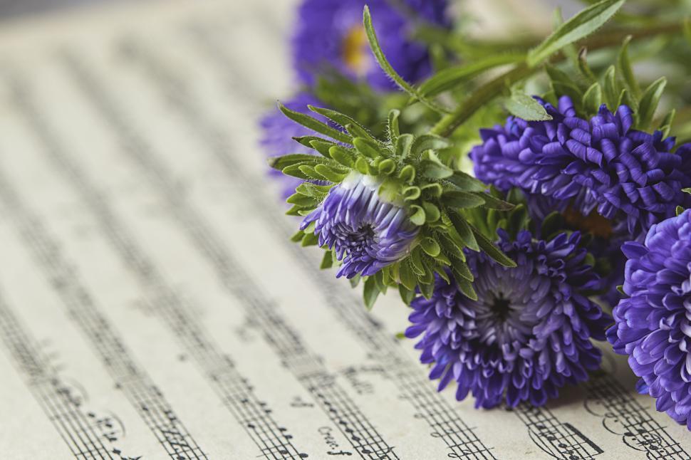blue-asters-on-sheet-music-vintage-musical-ambiance..jpg