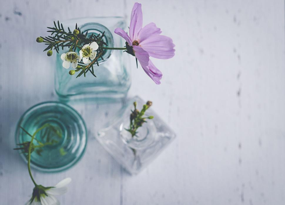 Free Image of Pink flower in glass bottle with soft natural light blue table 