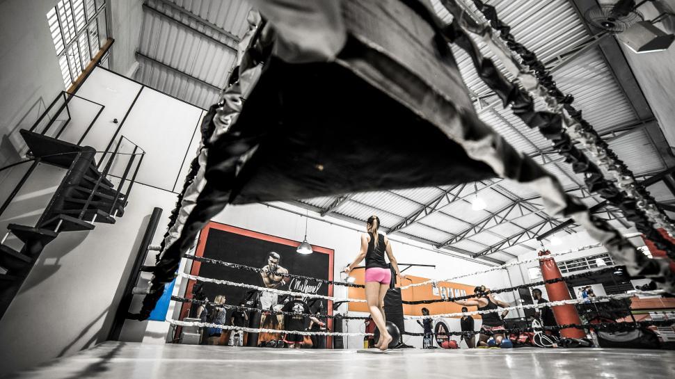 Free Image of Boxing training in gym with woman in pink shorts, focused. 