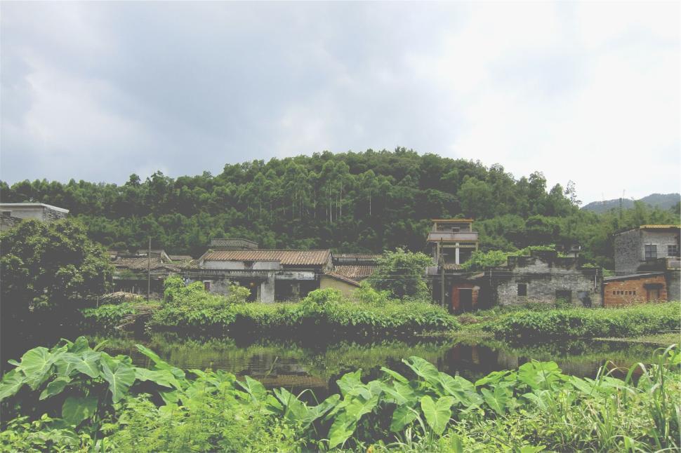 Free Image of Scenic rural landscape with houses and vegetation 