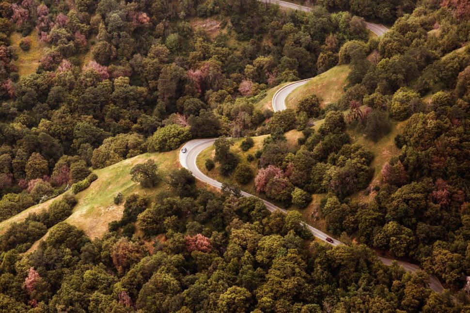 Free Image of Winding roads through lush green hills 
