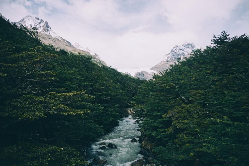 Free Image of Peaceful River Running Through Lush Green Forest 