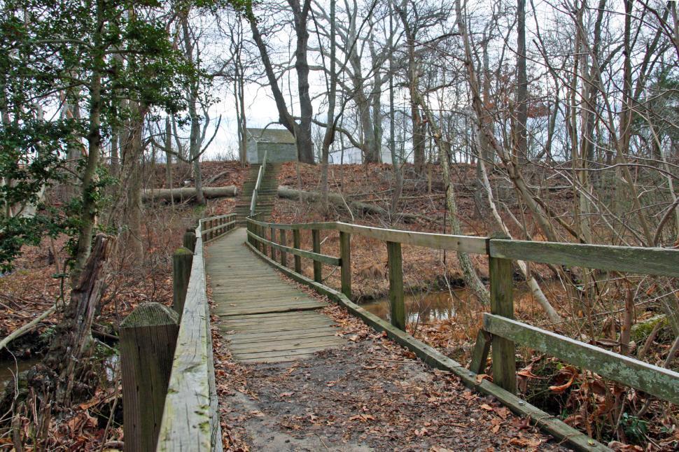 Free Image of Wooden Stairs and Boardwalk 