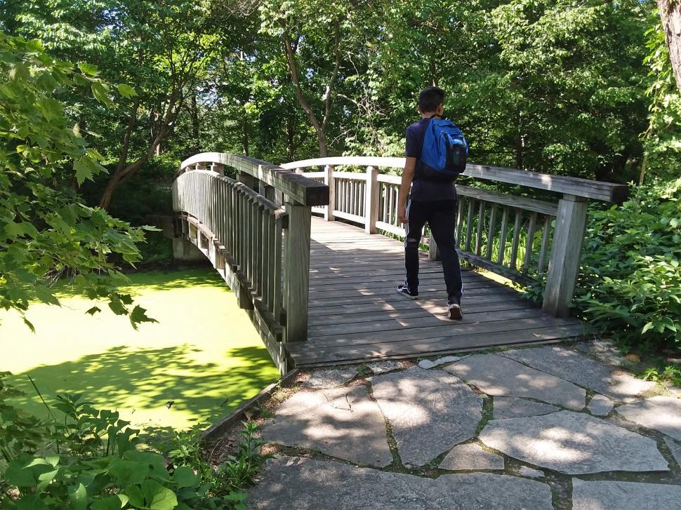 Free Image of Young Man On Wooden Footbridge 