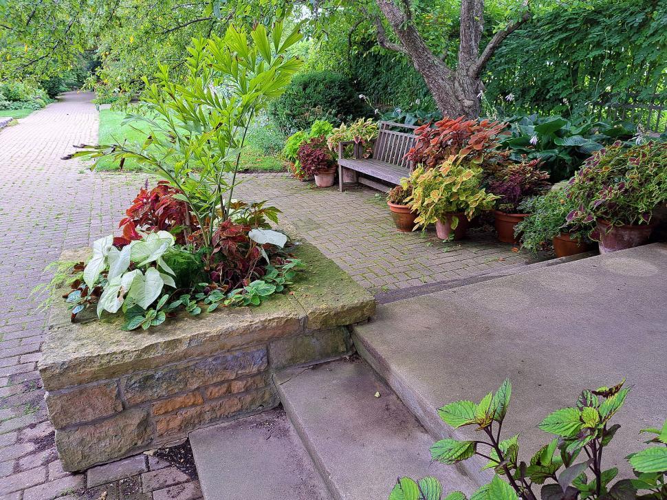 Free Image of Wooden Bench in a Tranquil Spot in a Garden 