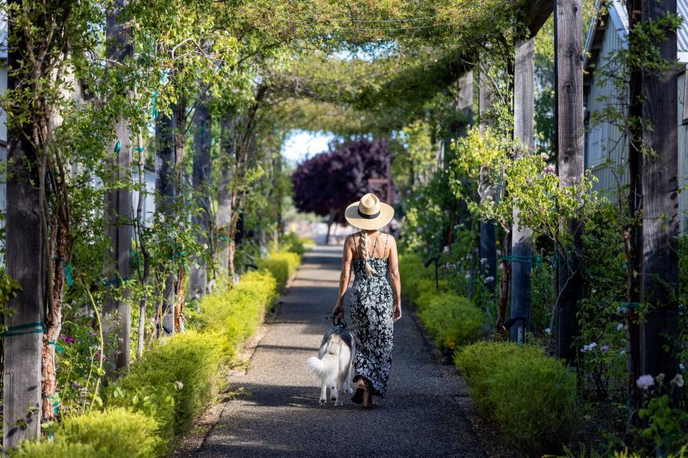 Free Image of Woman walks dog in beautiful garden archway with sunlight. 