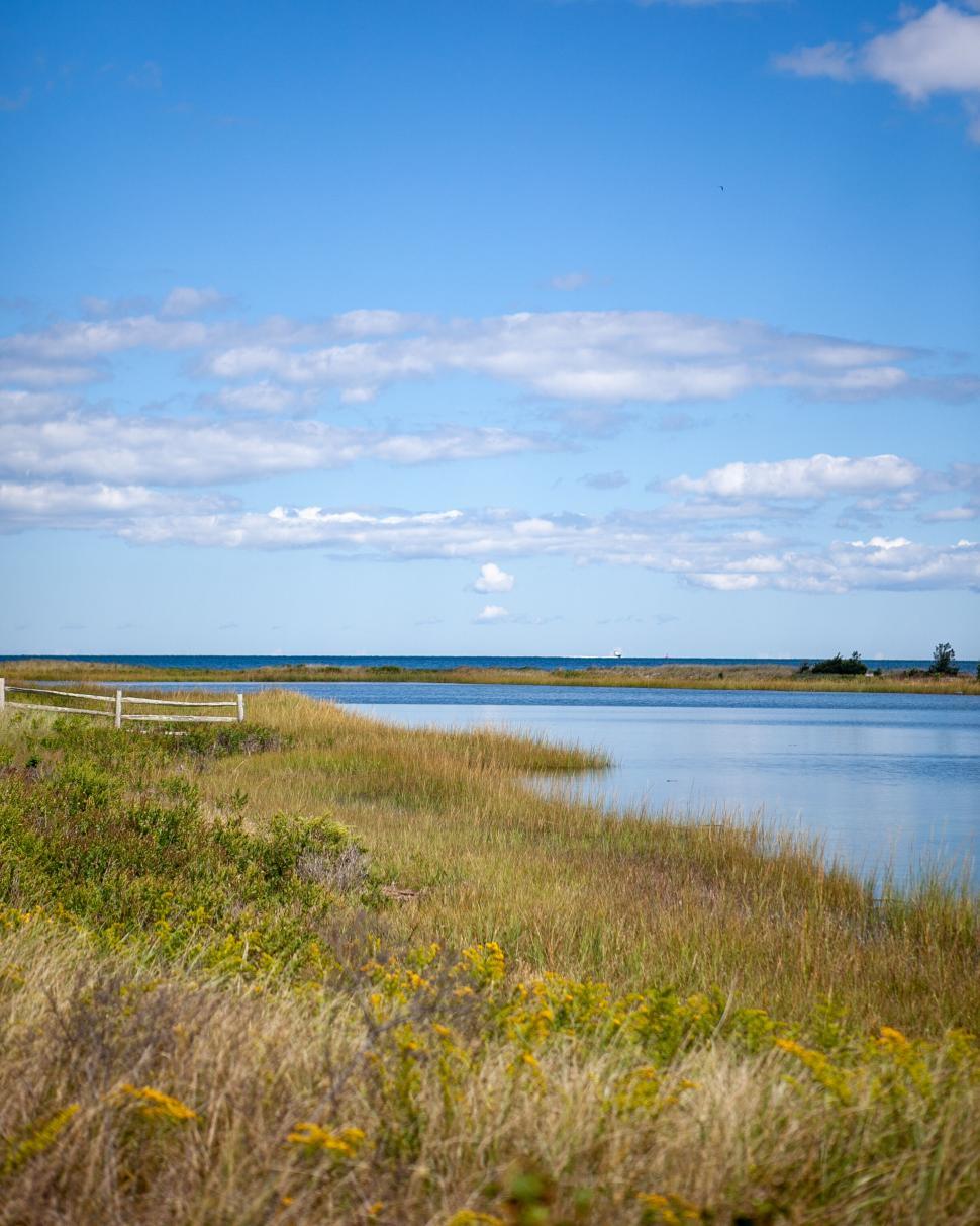 Free Image of Coastal wetland scene with blue sky and grassy banks. 
