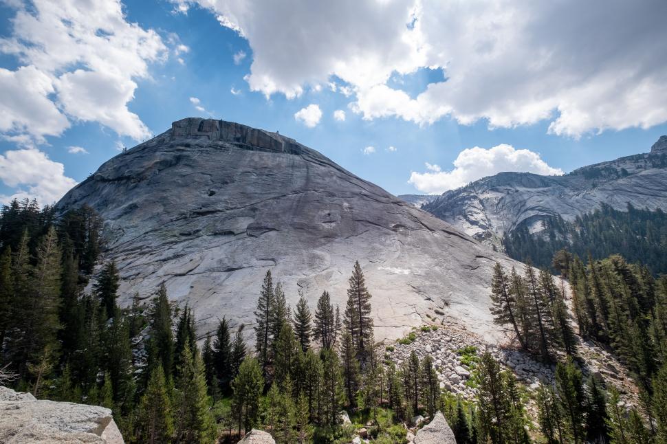 Free Image of Majestic grey rock formation surrounded by lush forest 