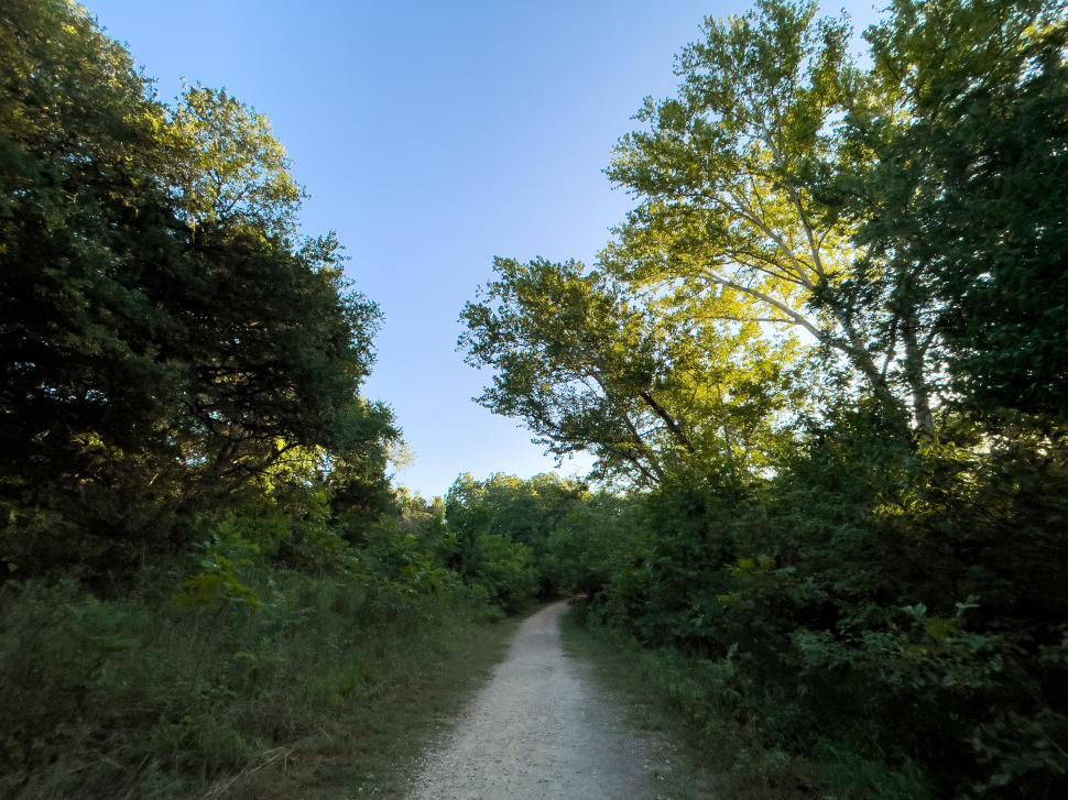 Free Image of Dirt path through forest with trees and blue sky 