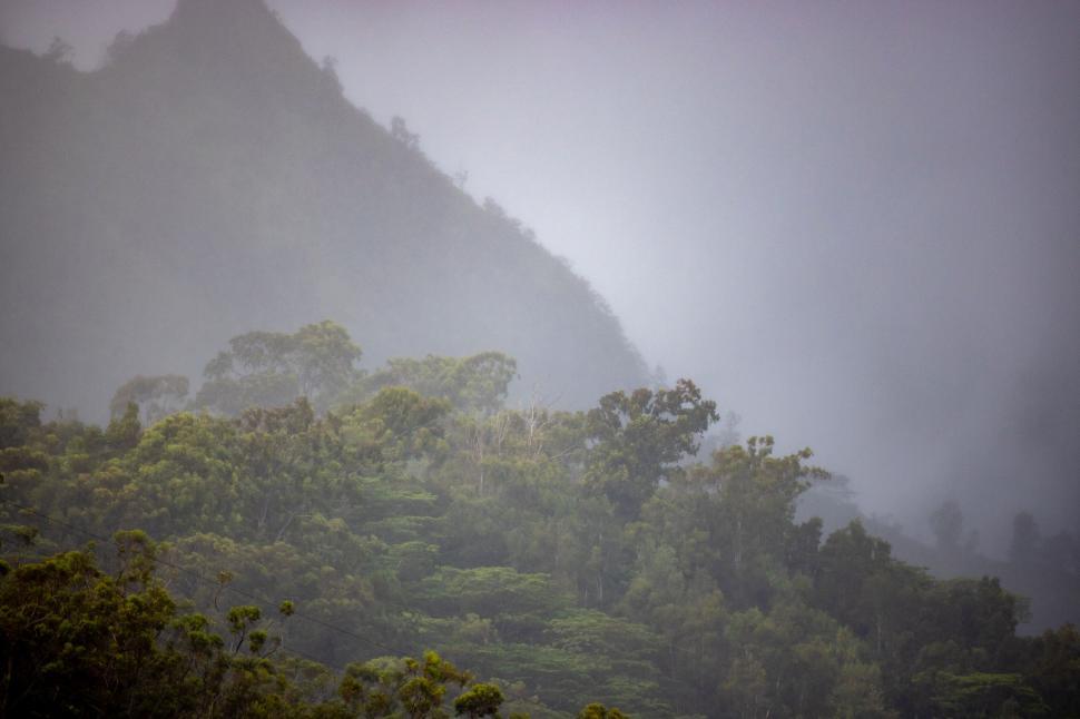 Free Image of Misty mountain with dense forest under overcast sky. 