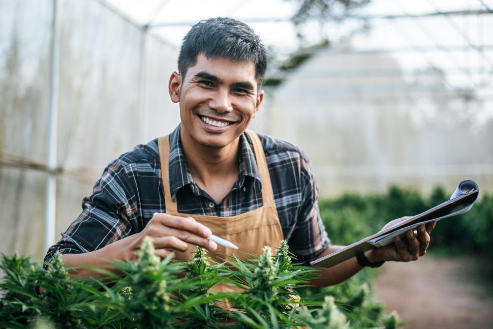 portrait-of-asian-man-marijuana-researcher-checking-marijuana-cannabis-plantation-in-cannabis-farm-business-agricultural-cannabis.-cannabis-business-and-alternative-medicine-concept..jpg