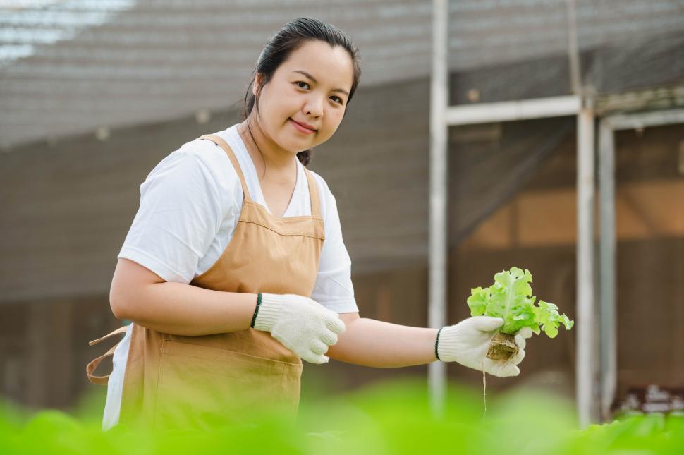 Free Image of Asian farmer woman looking at vegetable in field 