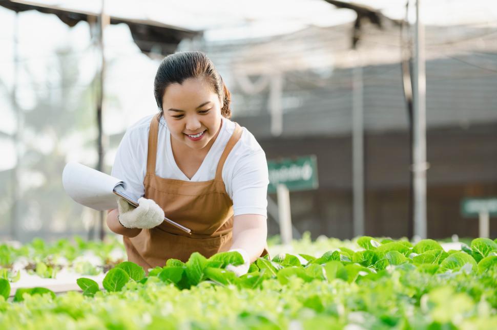 Free Image of Asian farmer woman working in organic vegetable hydroponic farm 